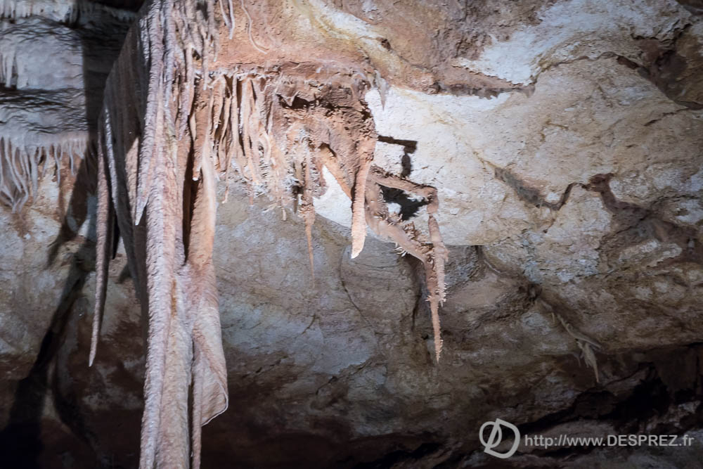 11 aout 2016DSC01067