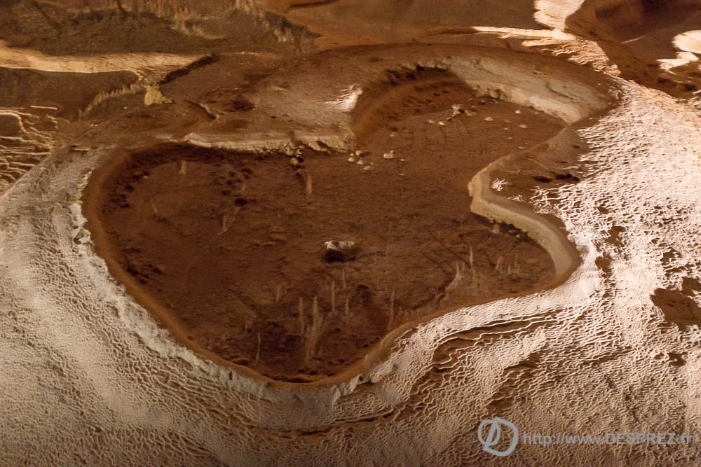 11 aout 2016DSC01073