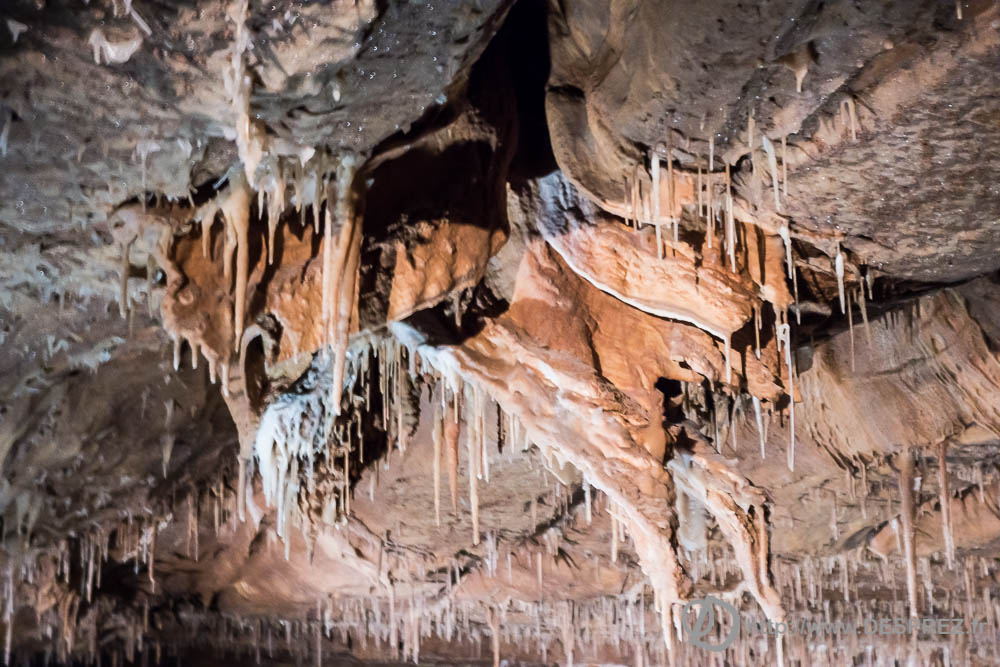 11 aout 2016DSC01074