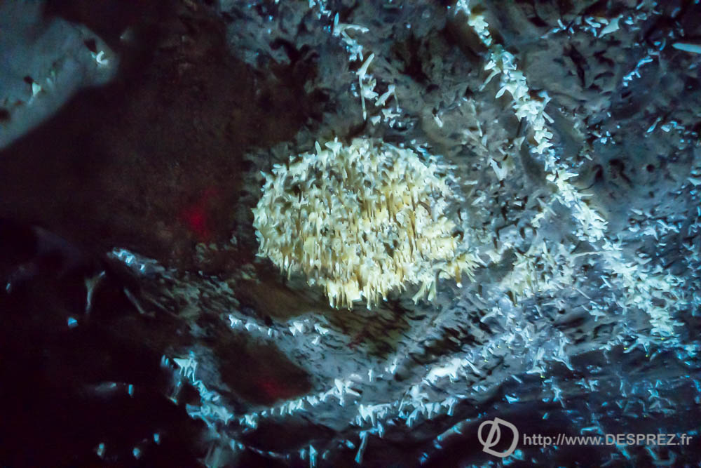 11 aout 2016DSC01082