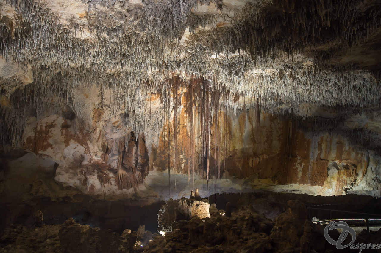 2021-août-12-DSC08939