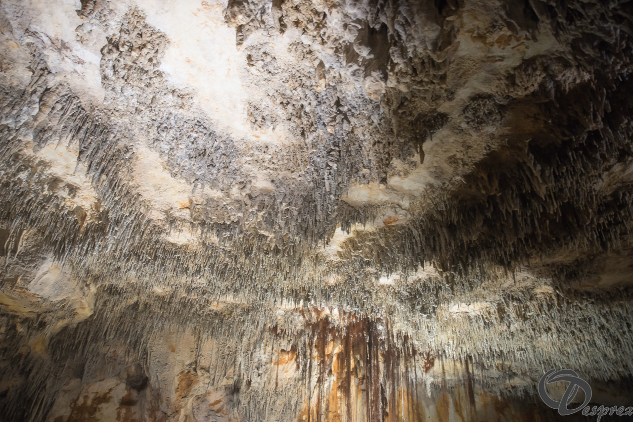 2021-août-12-DSC08940