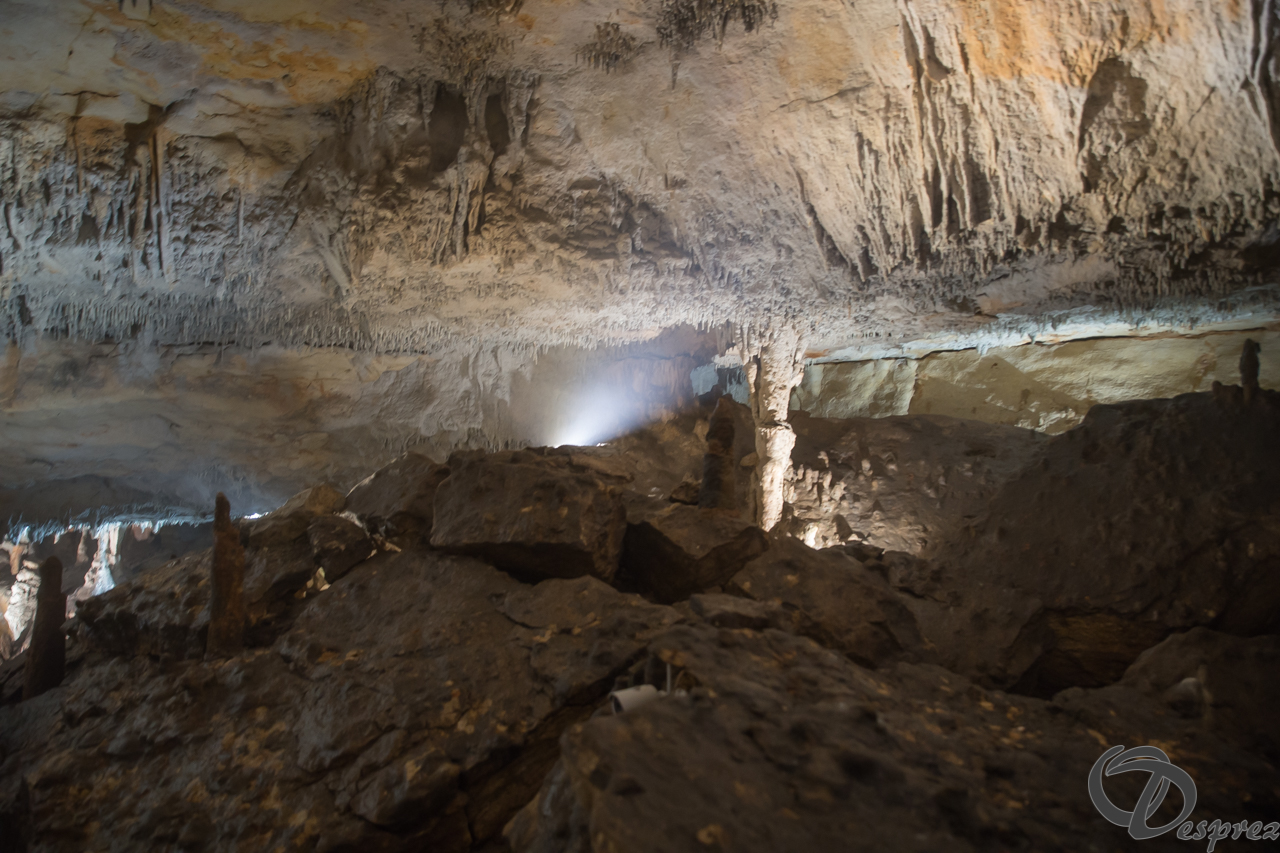 2021-août-12-DSC08941