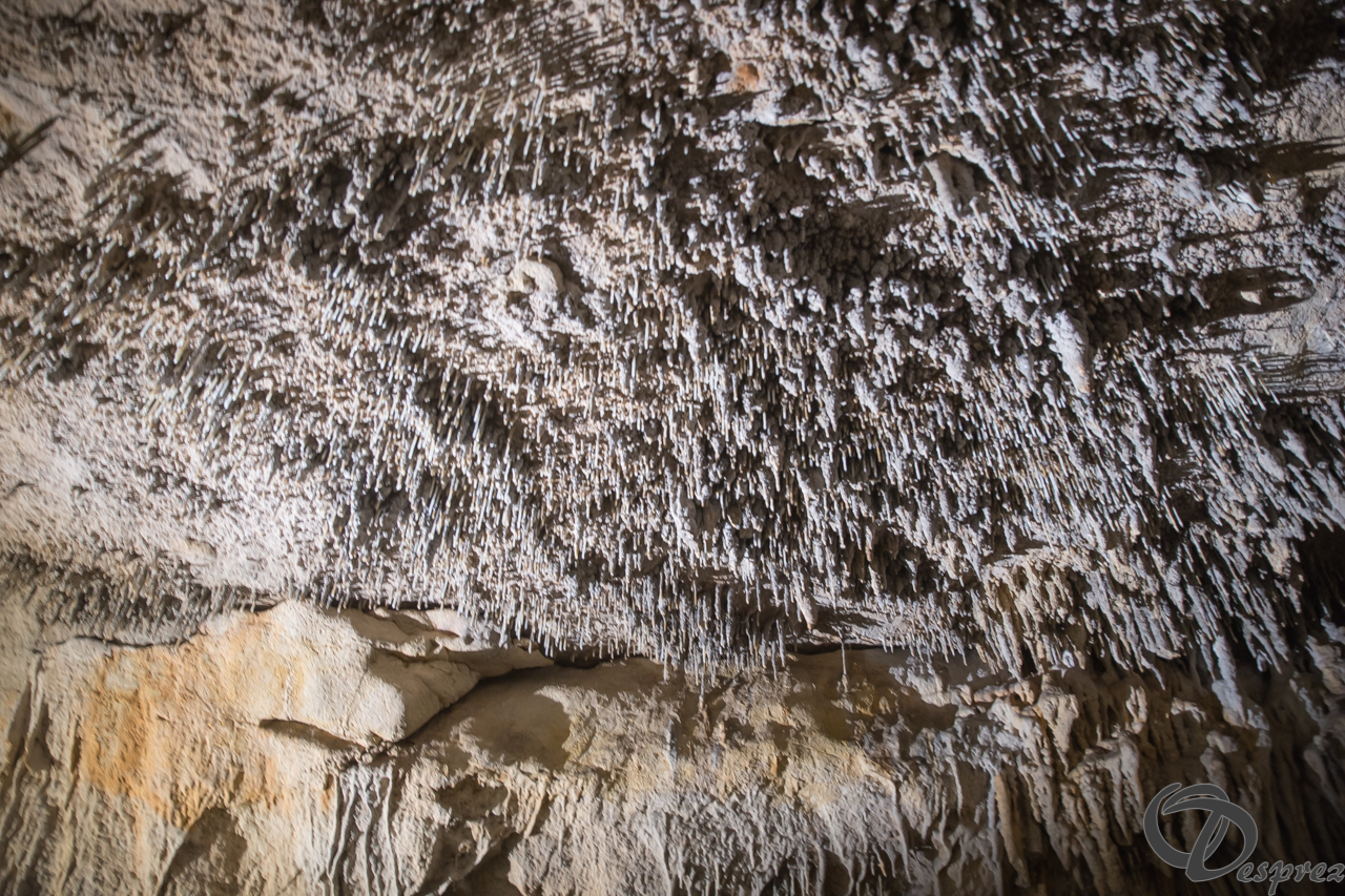 2021-août-12-DSC08942