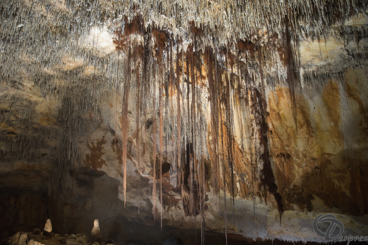 2021-août-12-DSC08943