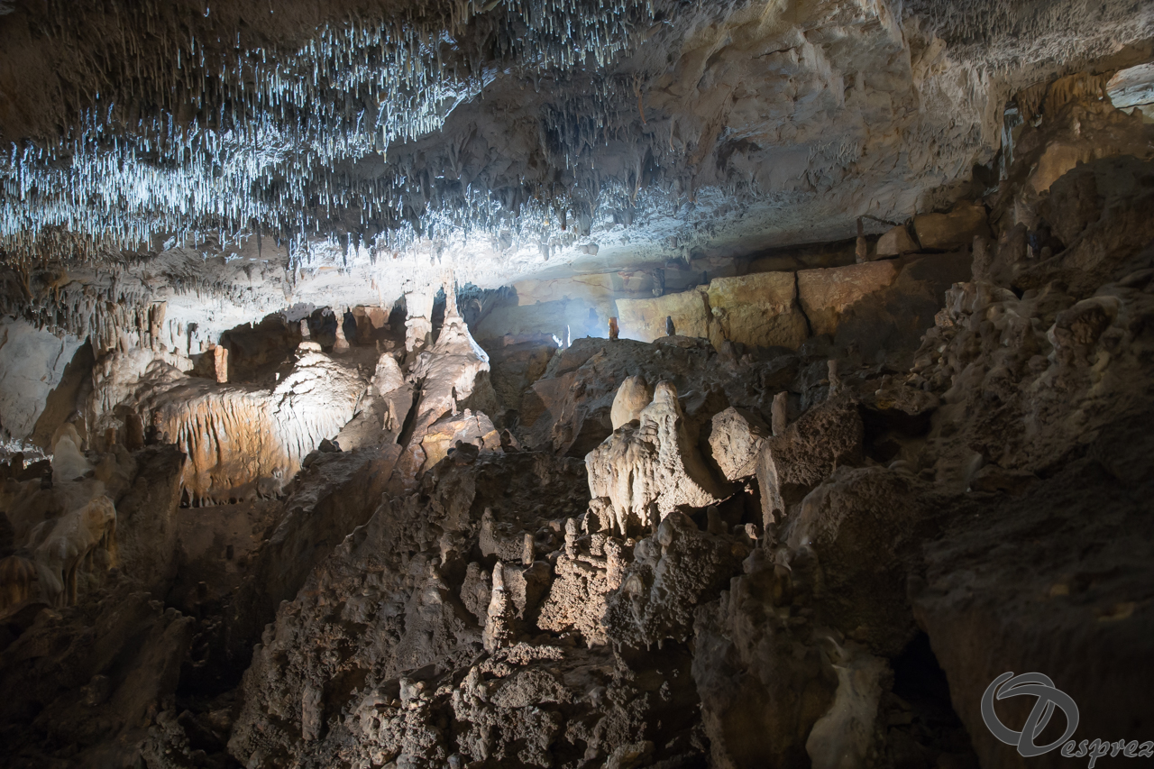 2021-août-12-DSC08945