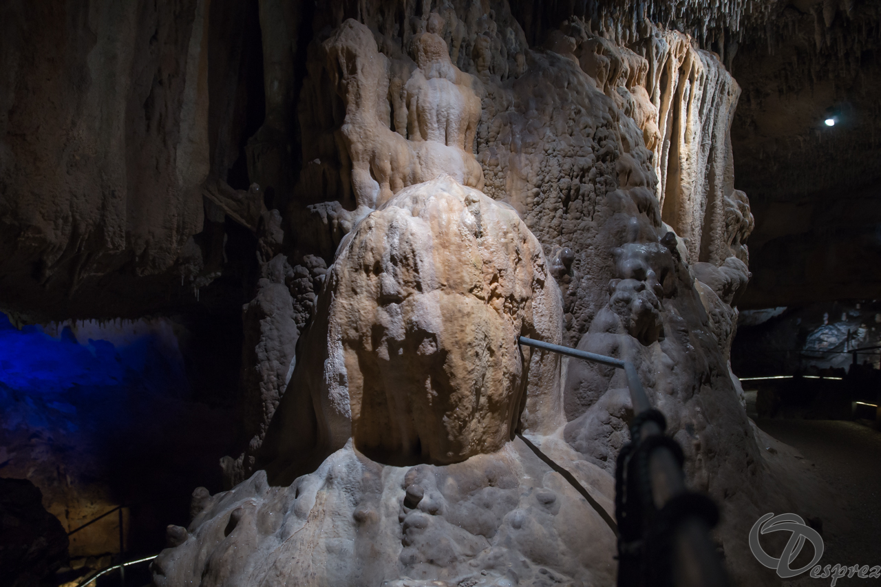 2021-août-12-DSC08947