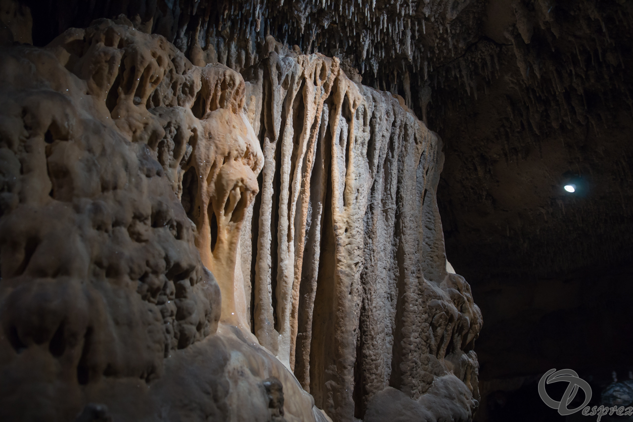 2021-août-12-DSC08948