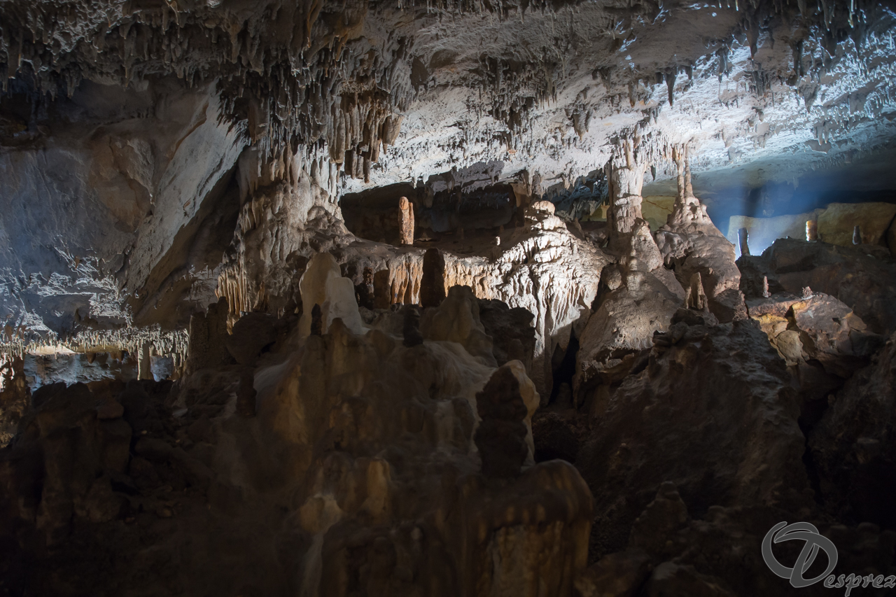 2021-août-12-DSC08949