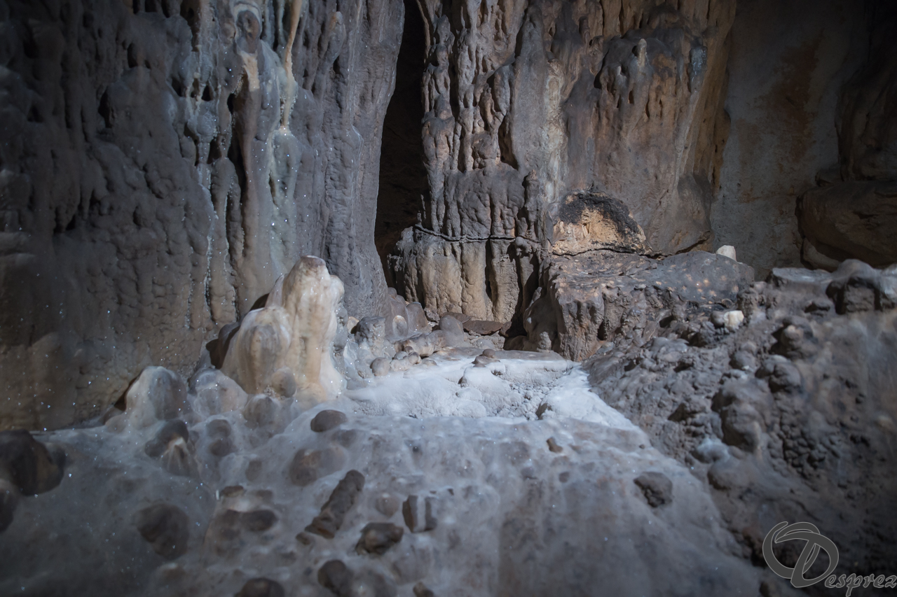 2021-août-12-DSC08950