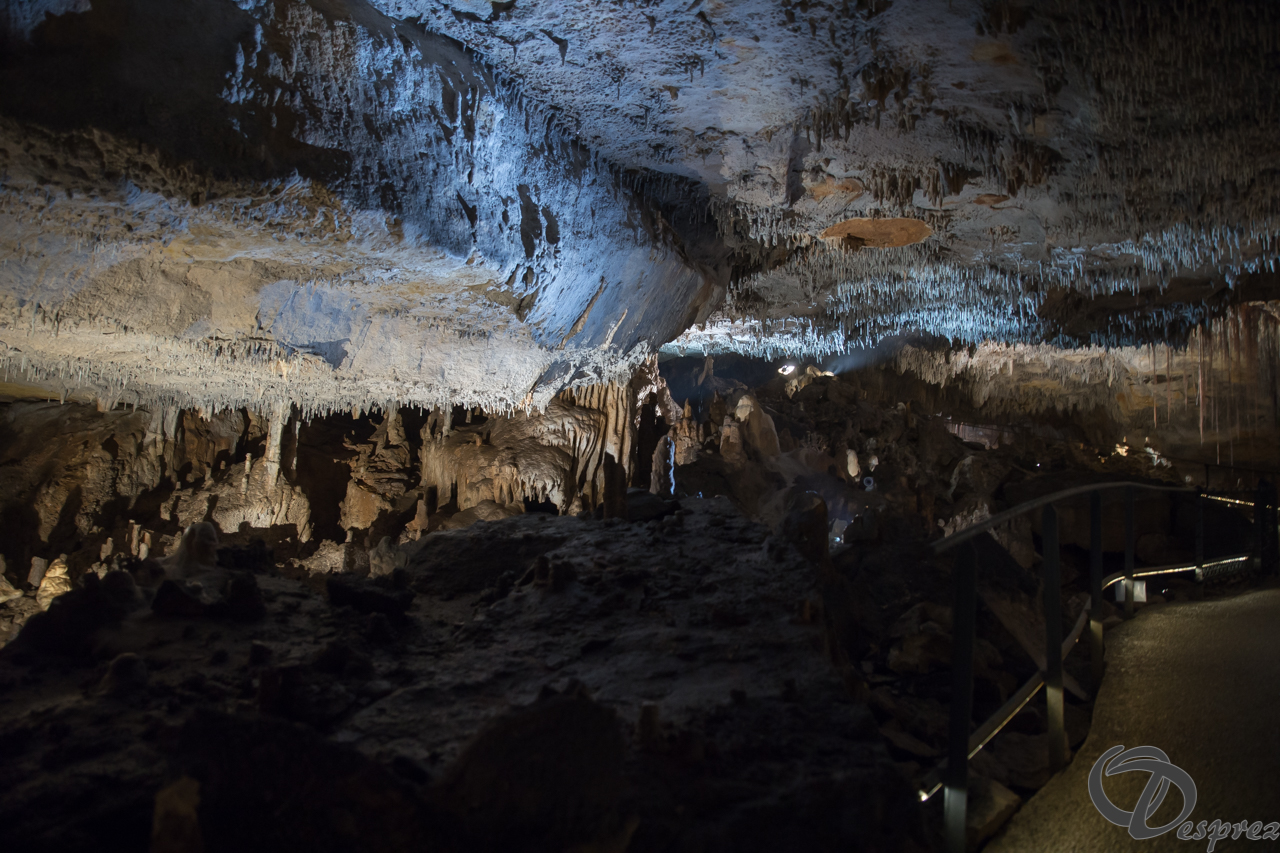 2021-août-12-DSC08951