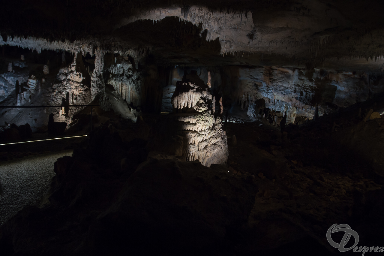 2021-août-12-DSC08952