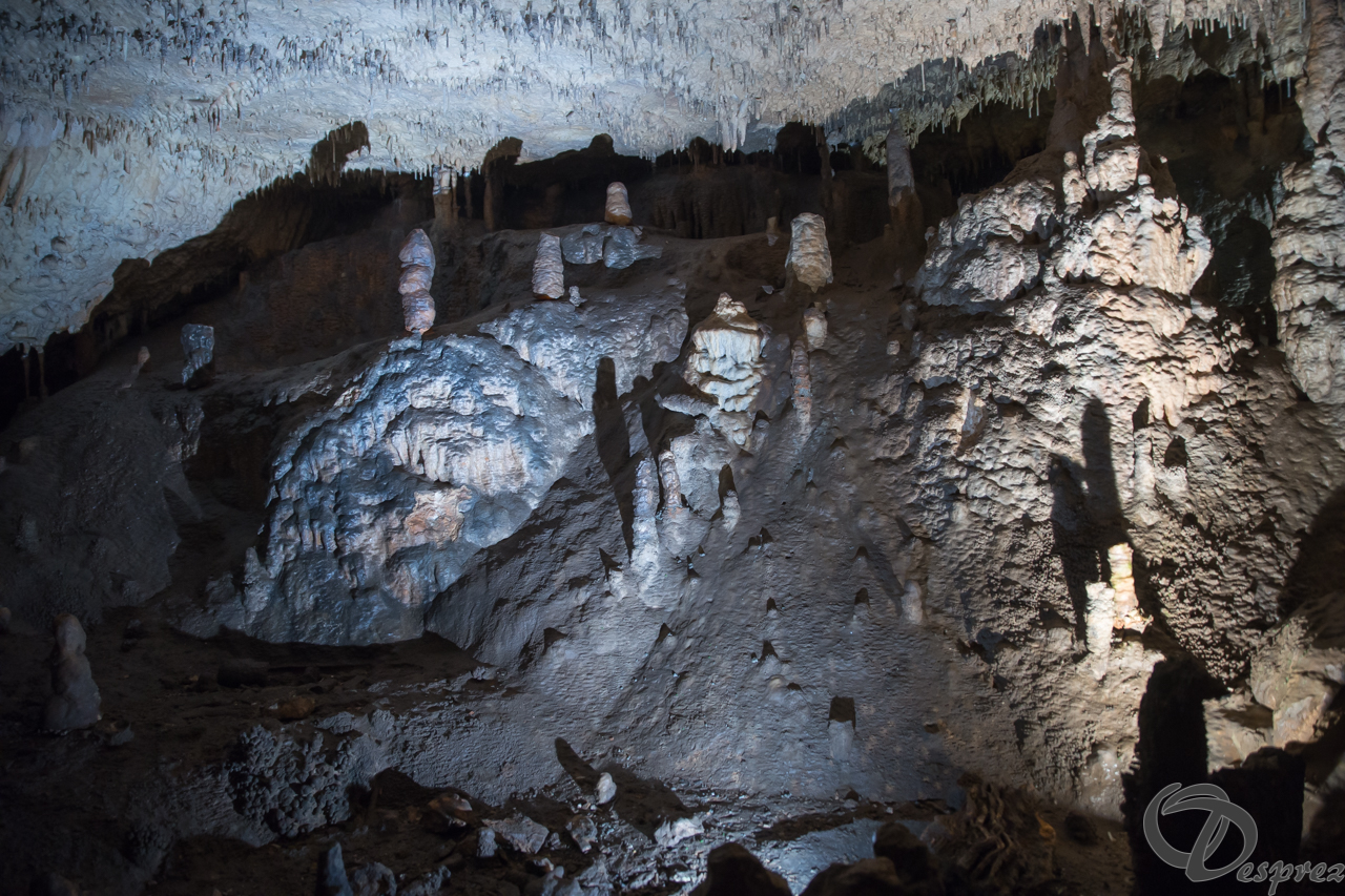 2021-août-12-DSC08955