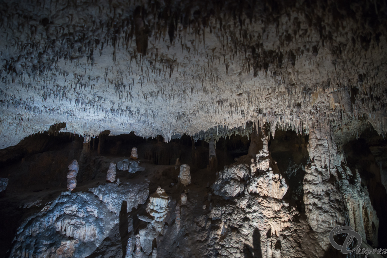 2021-août-12-DSC08956