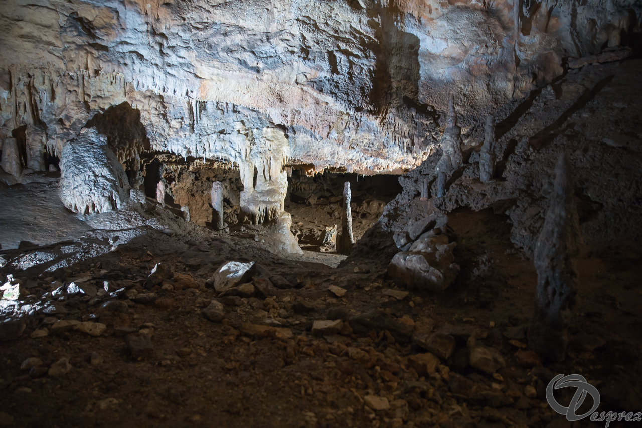 2021-août-12-DSC08958