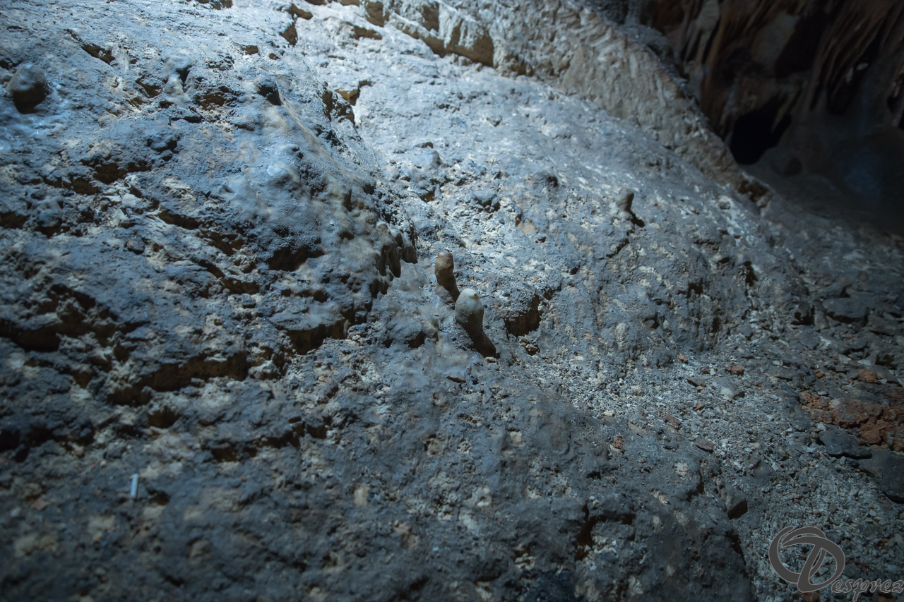 2021-août-12-DSC08959