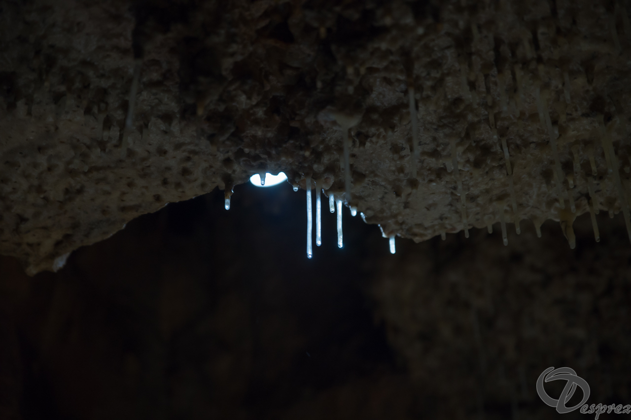 2021-août-12-DSC08960