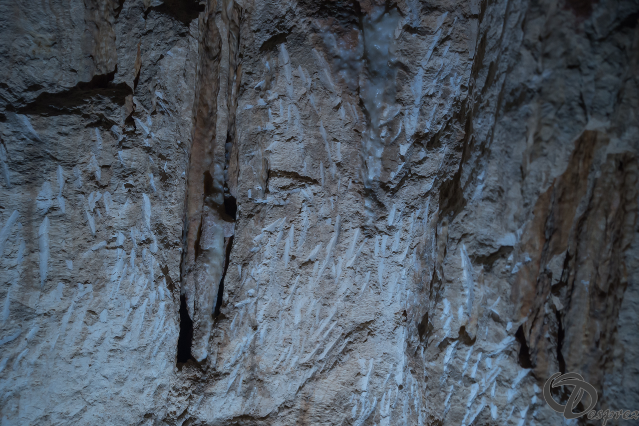 2021-août-12-DSC08961