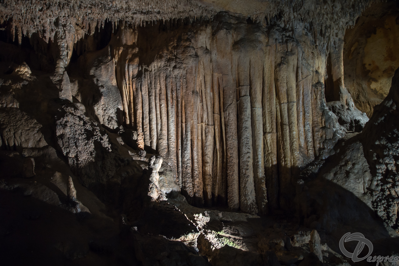 2021-août-12-DSC08962