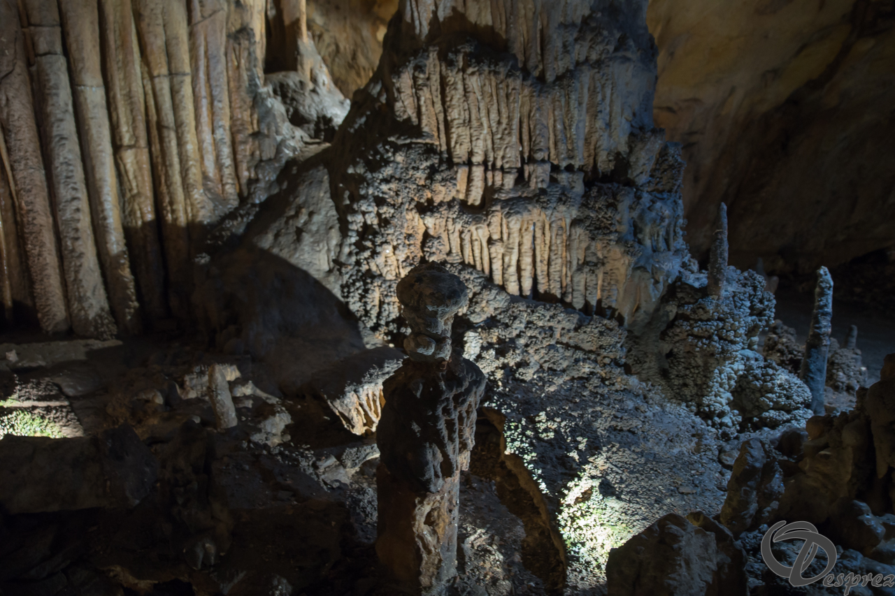 2021-août-12-DSC08963