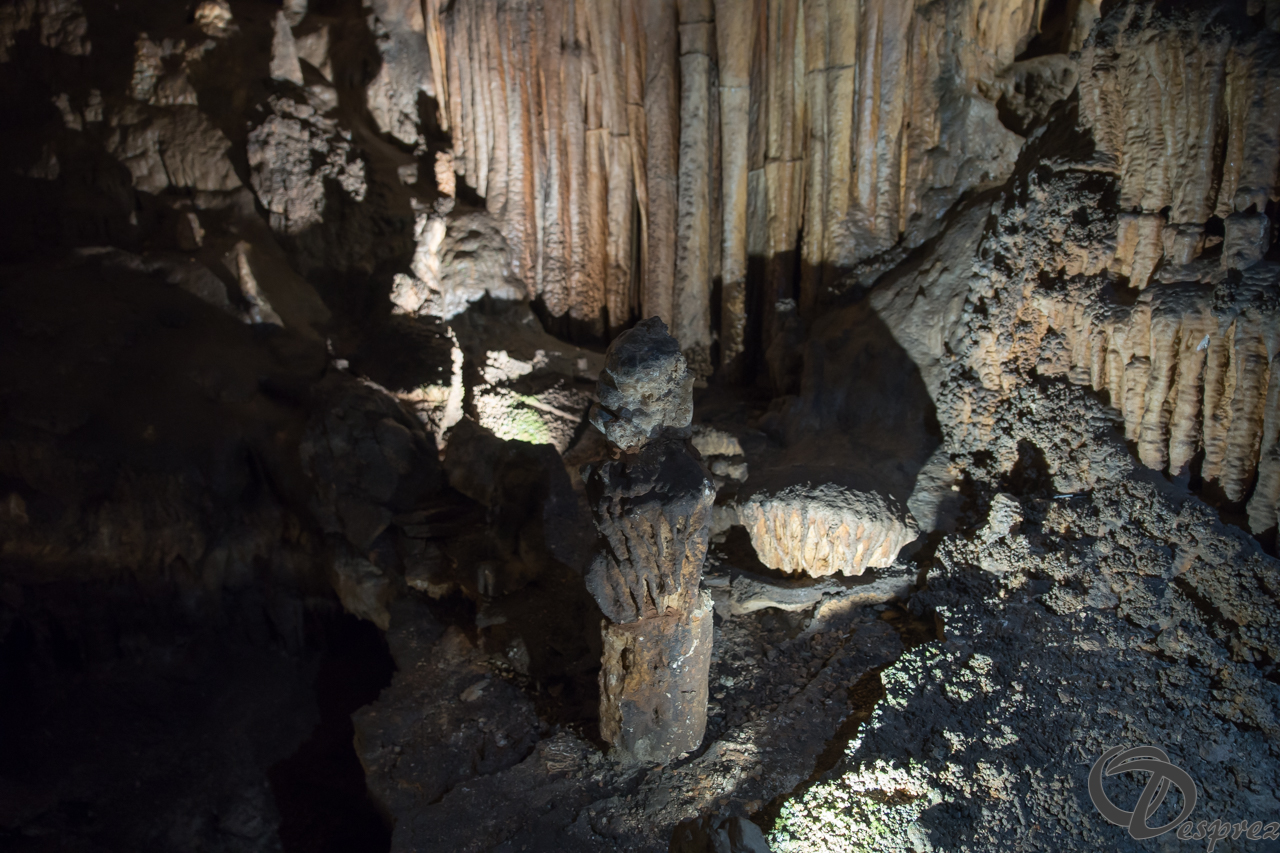 2021-août-12-DSC08964