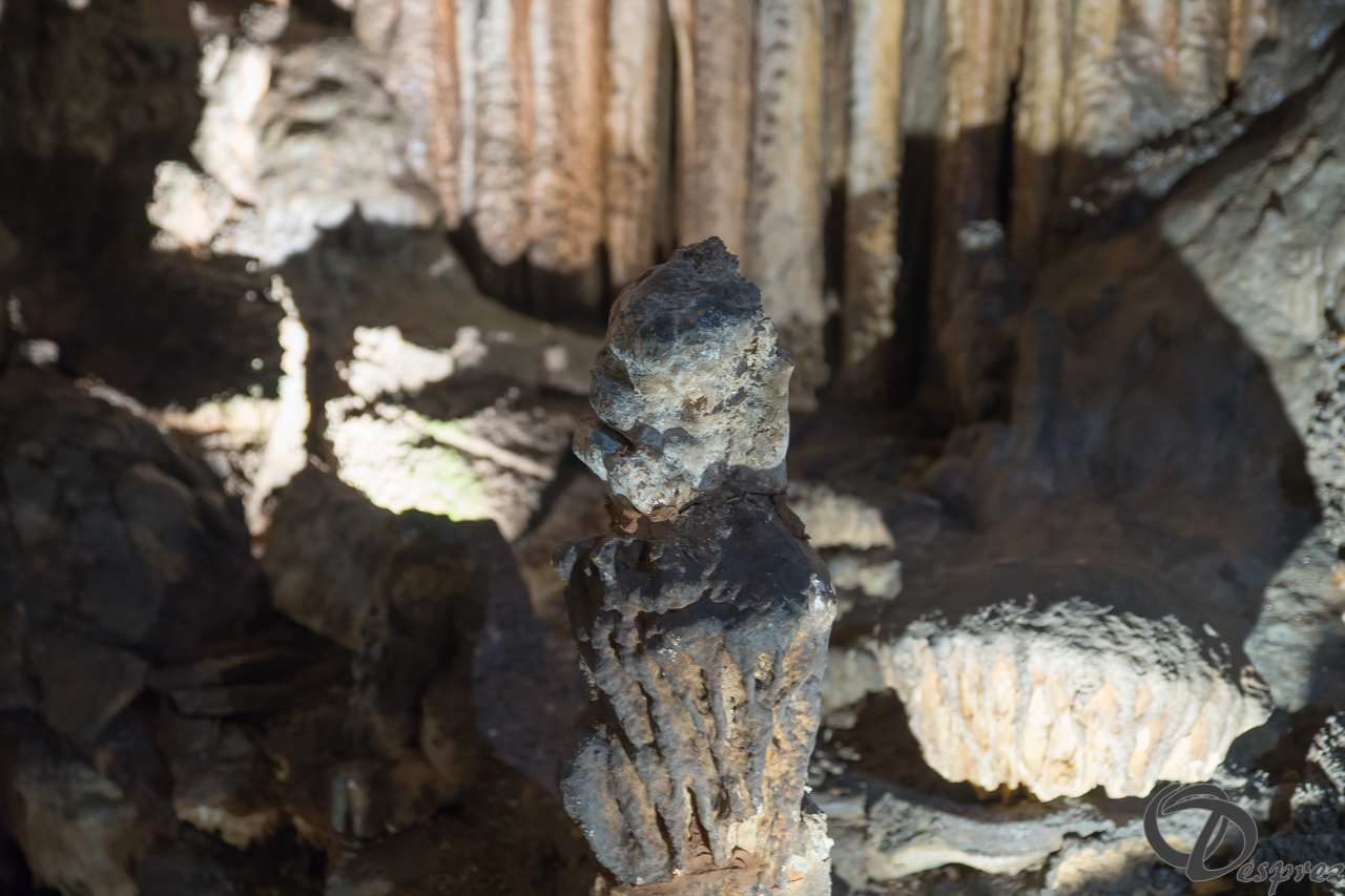 2021-août-12-DSC08965