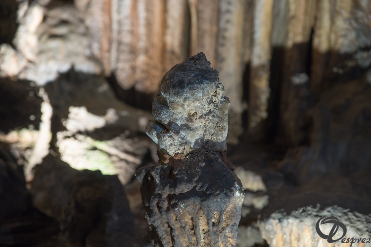 2021-août-12-DSC08968