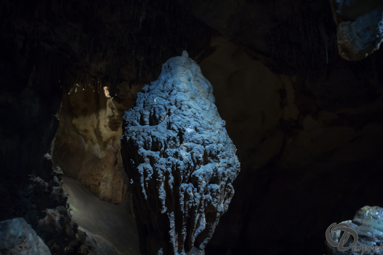 2021-août-12-DSC08969