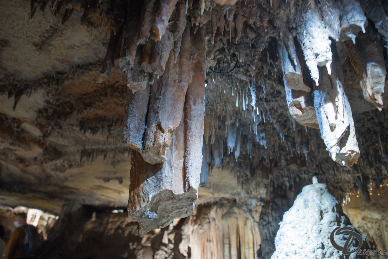 2021-août-12-DSC08971