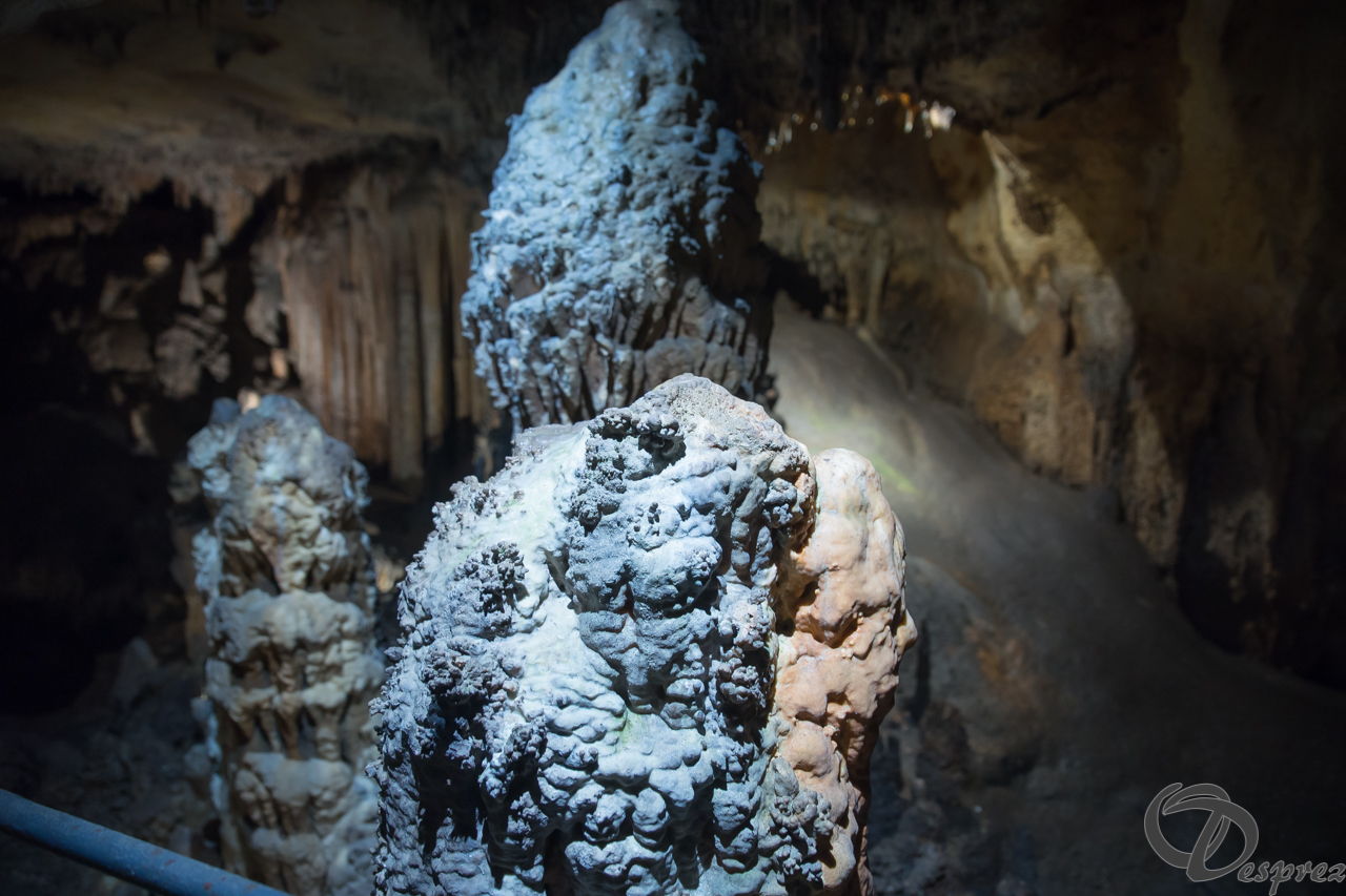 2021-août-12-DSC08972