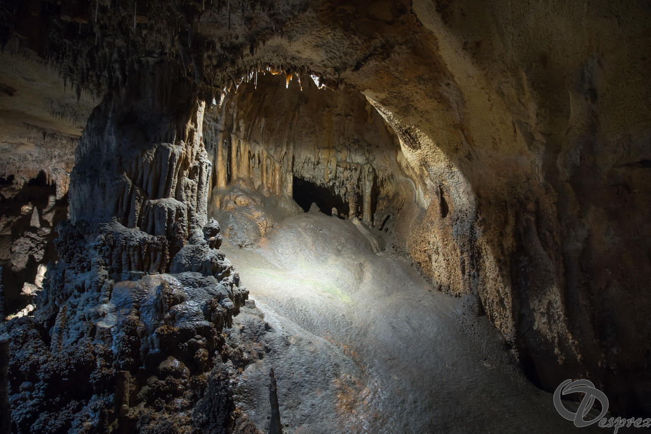 2021-août-12-DSC08974