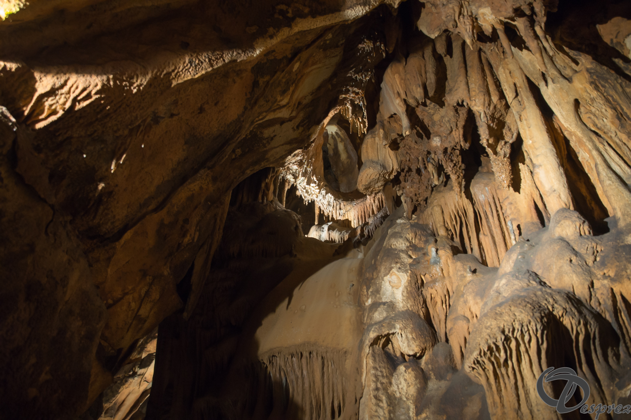 2021-août-12-DSC08975