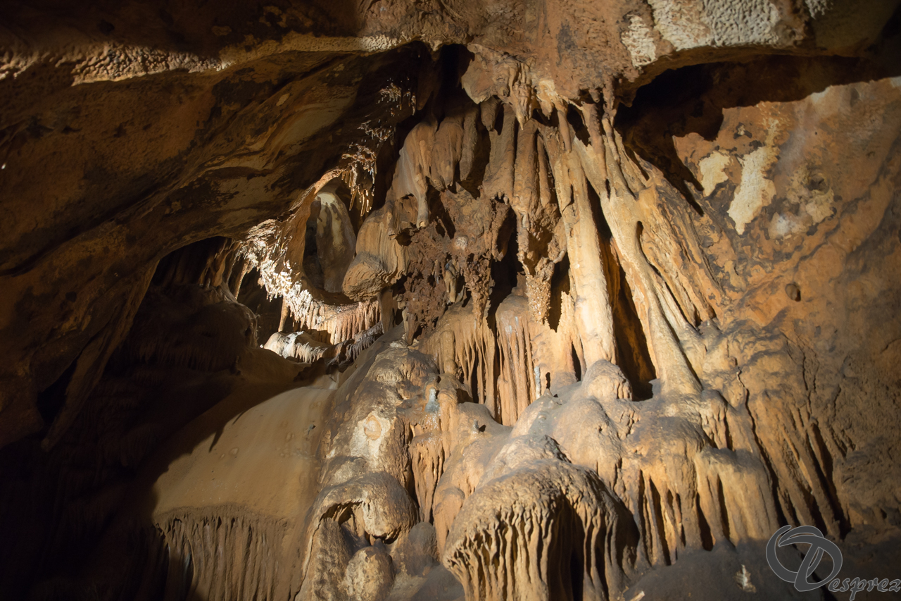 2021-août-12-DSC08976