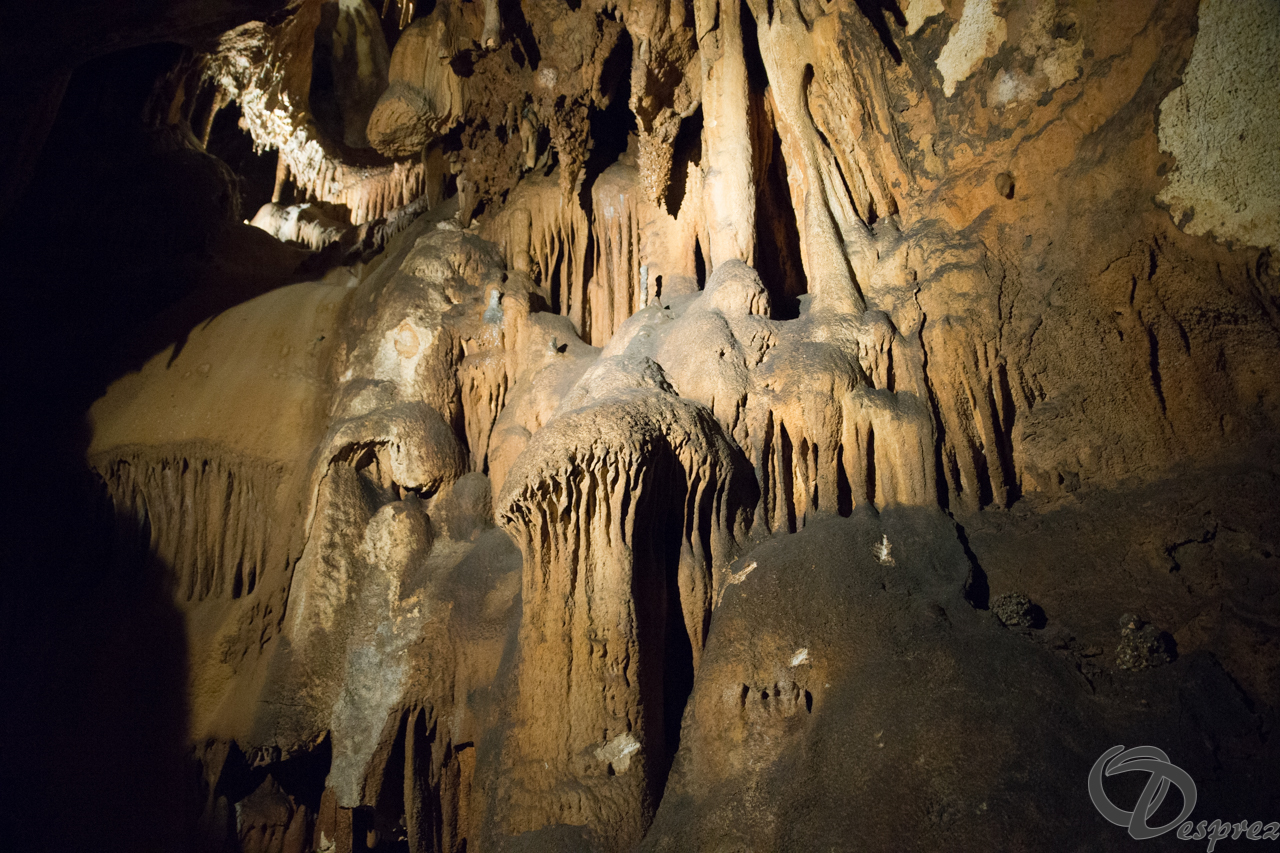 2021-août-12-DSC08977