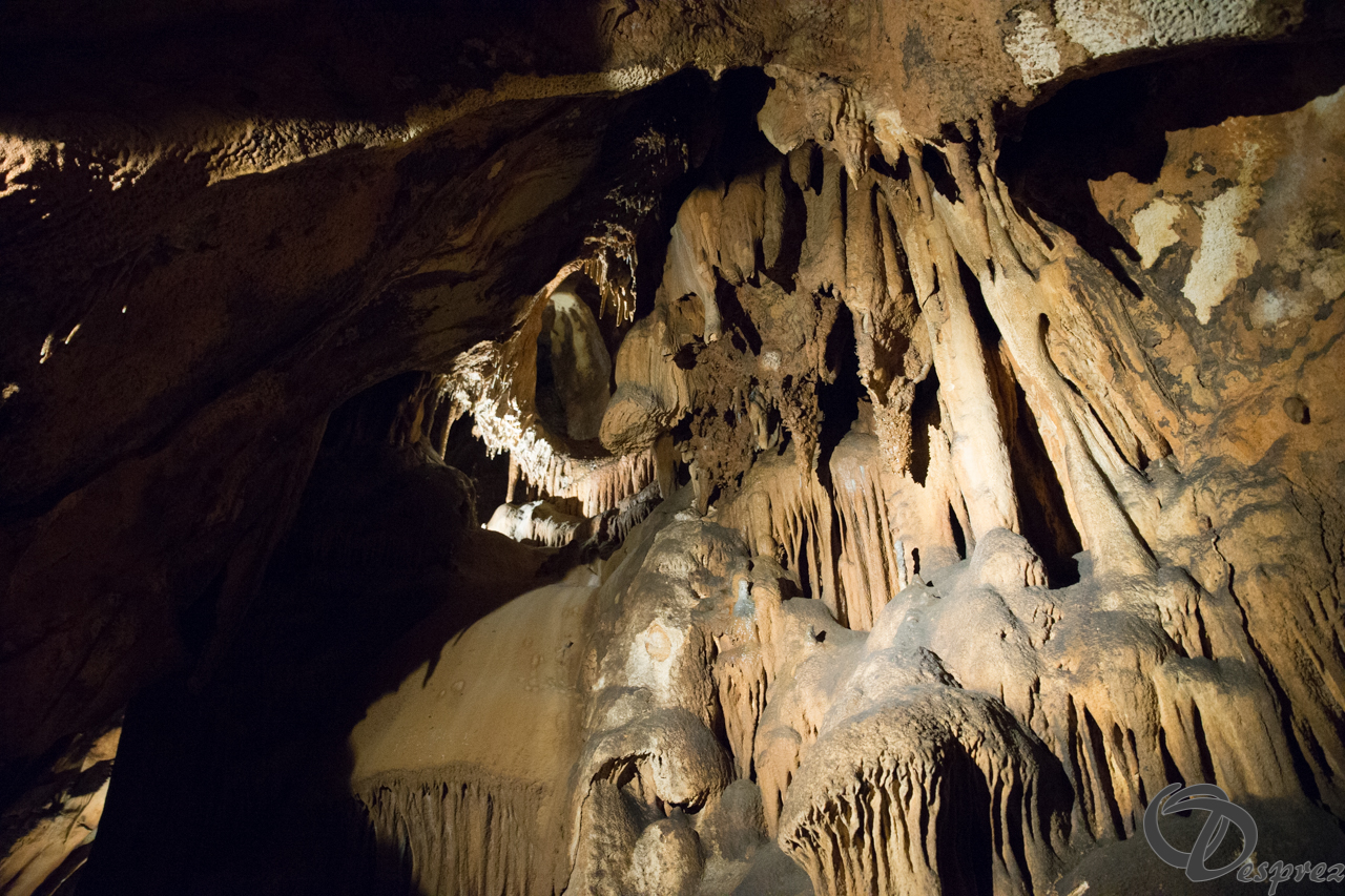 2021-août-12-DSC08978