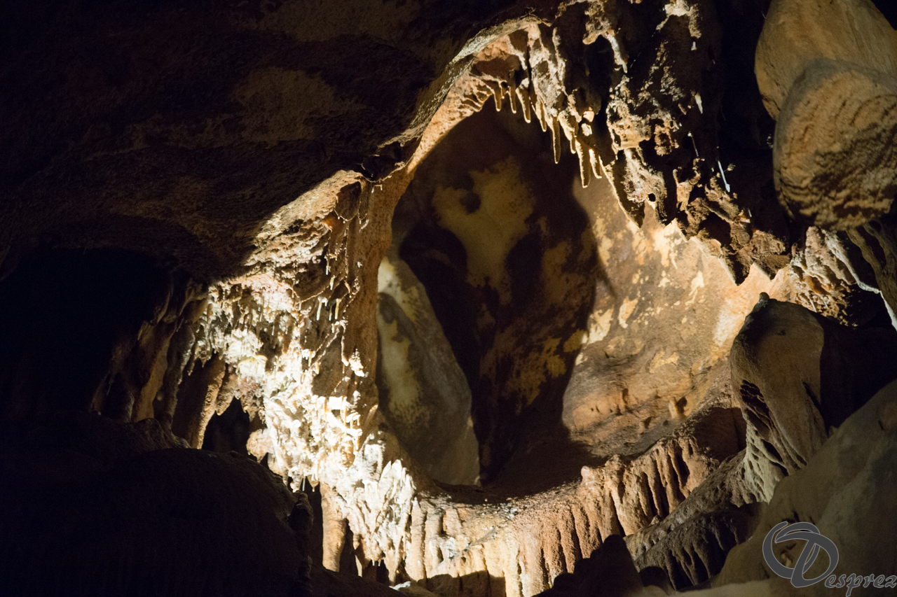 2021-août-12-DSC08979