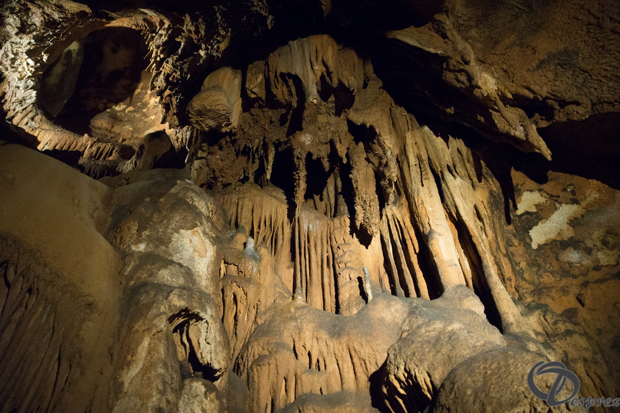 2021-août-12-DSC08981