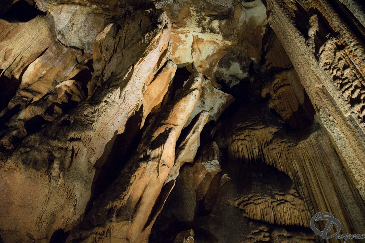 2021-août-12-DSC08982