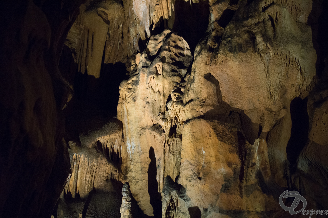 2021-août-12-DSC08983