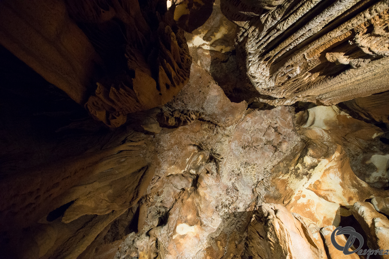 2021-août-12-DSC08984