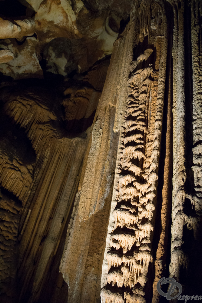 2021-août-12-DSC08986