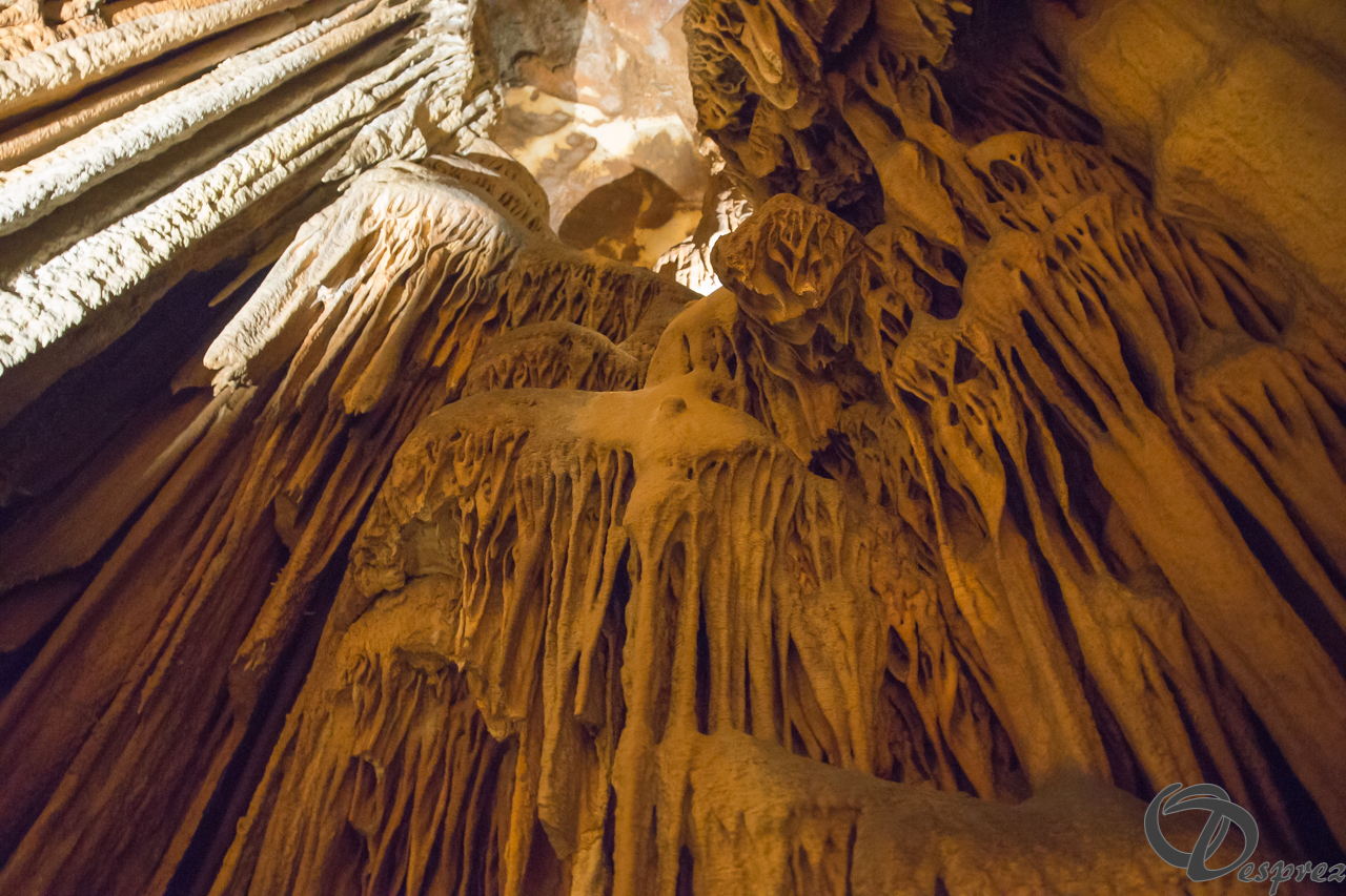 2021-août-12-DSC08987