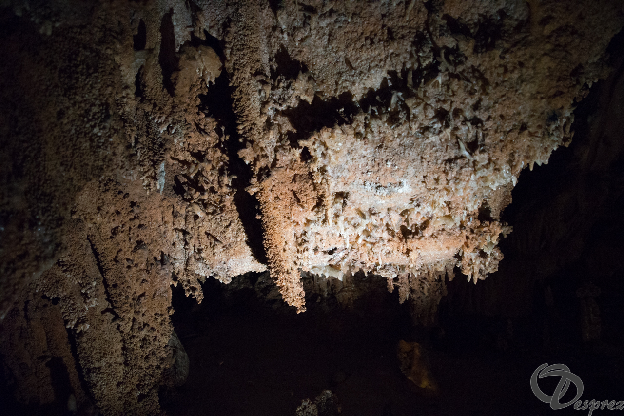 2021-août-12-DSC08988