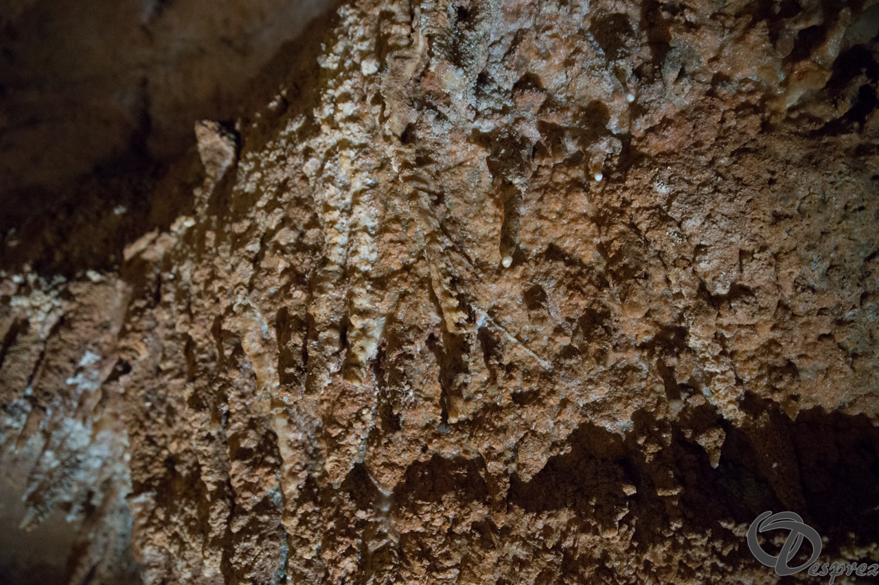 2021-août-12-DSC08989