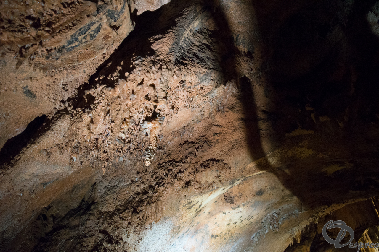 2021-août-12-DSC08990