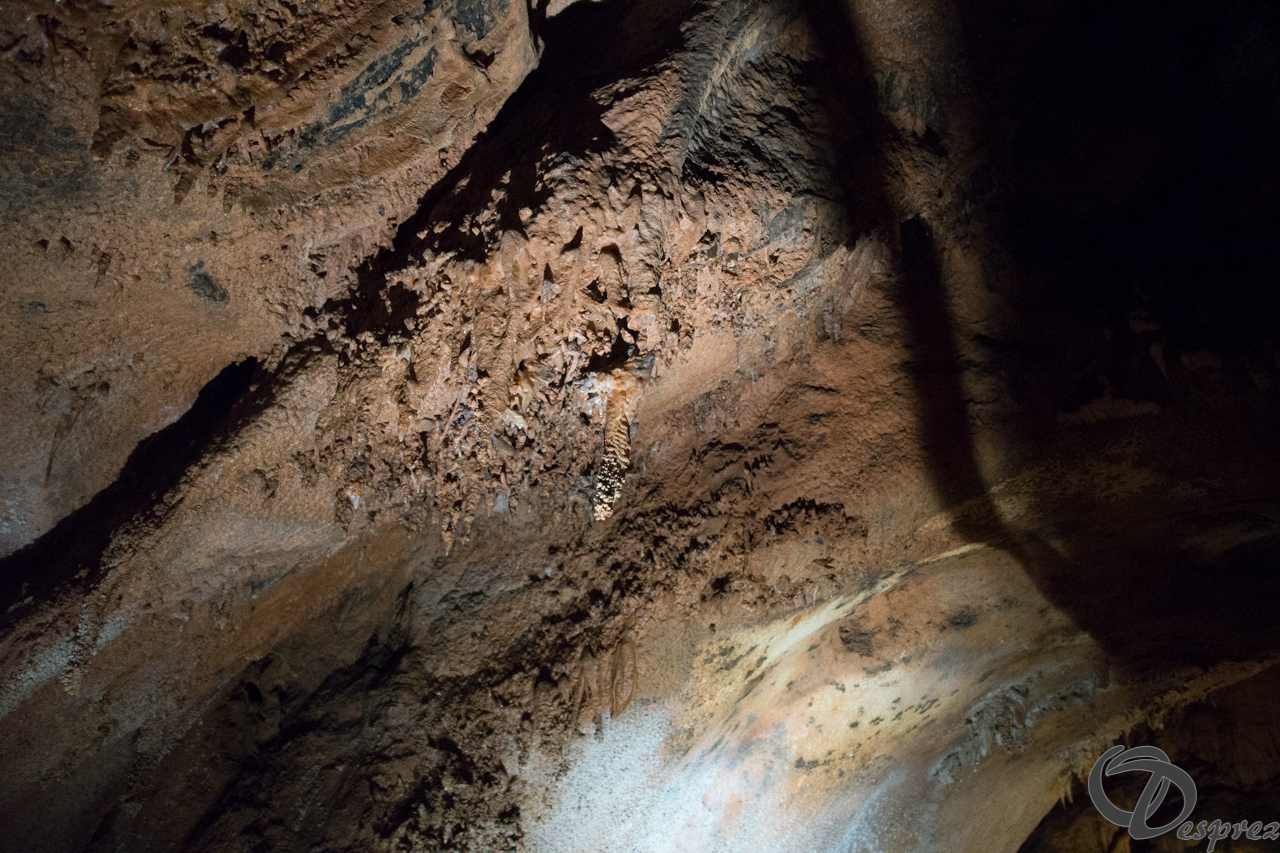 2021-août-12-DSC08991