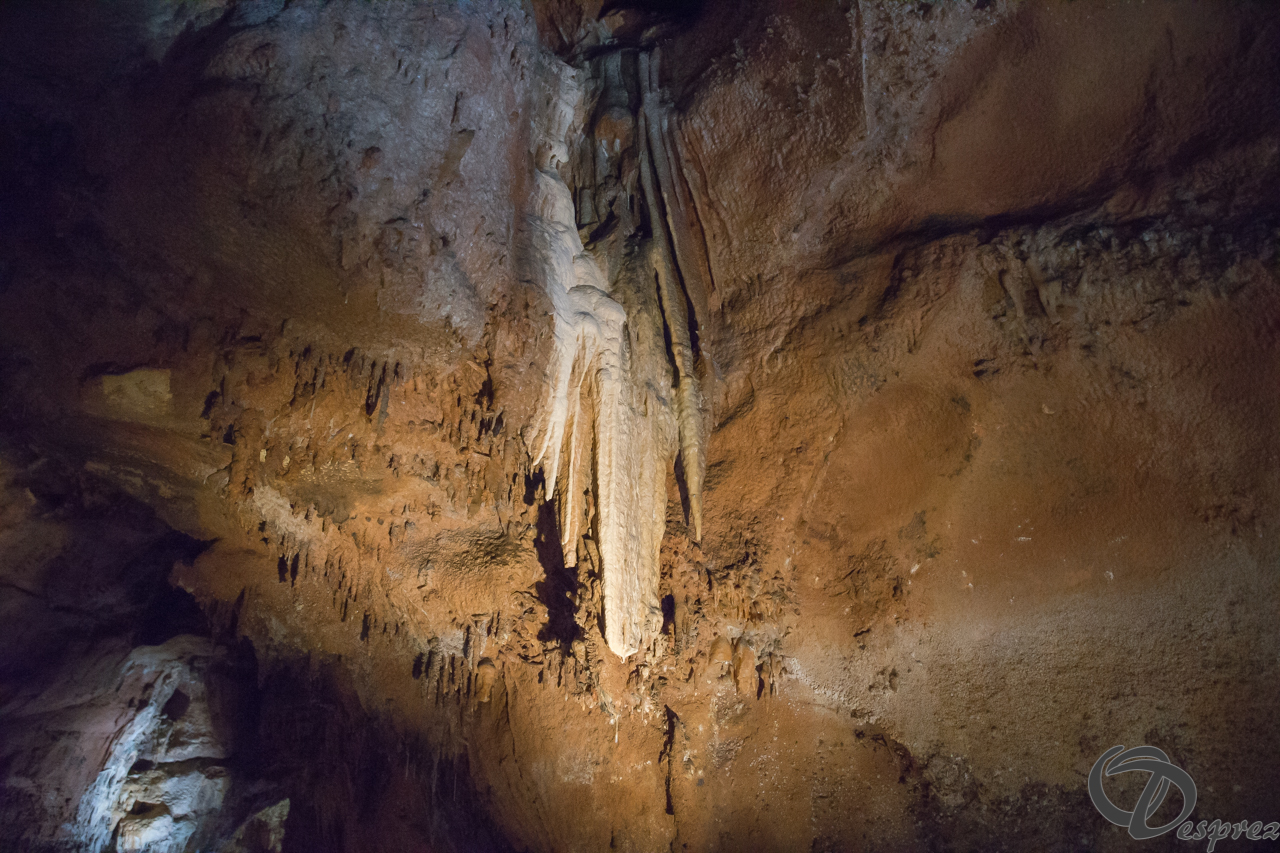 2021-août-12-DSC08992