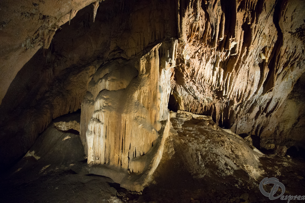 2021-août-12-DSC08993