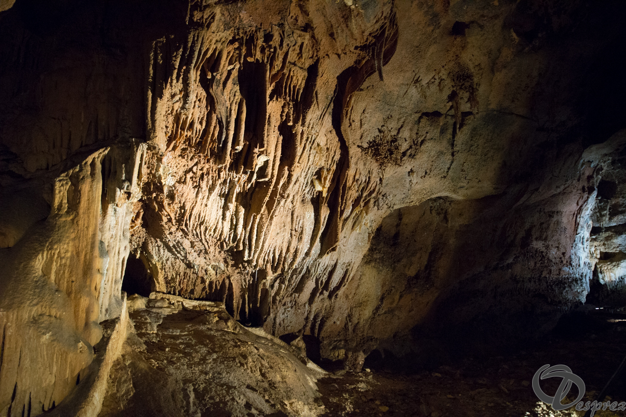 2021-août-12-DSC08994