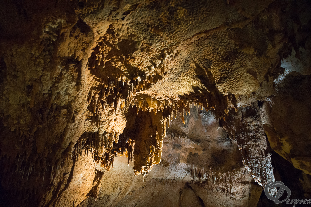 2021-août-12-DSC08995